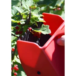 Beerenpflücker mit Kunststoffkamm