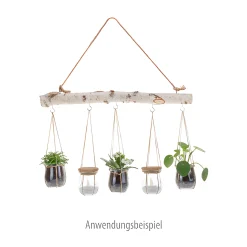 Birkenast 50 cm mit Kordelhenkel und 5 Haken