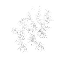 Deko-Spinnen 3,5 cm, transparent, 40 Stück