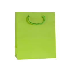 Geschenktüte hellgrün, mittel