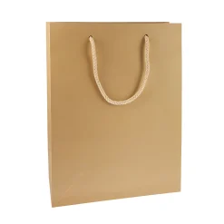 Geschenktüte natron, groß