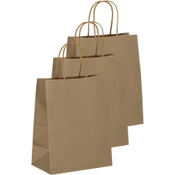 Geschenktüte  natron, groß, 3 Stück