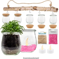 Gläser Set 'Hängender Garten' im WECK-Mini-Tulpenglas