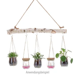 Gläser Set 'Hängender Garten' im WECK-Mini-Tulpenglas