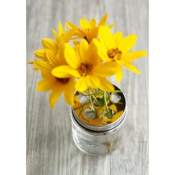 HappyTappi CT 70 Blumenhalter