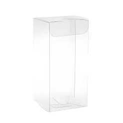 Klarsichtschachtel  50 x 50 x 105 mm