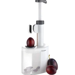 Pflaumenentsteiner 'Prunus'