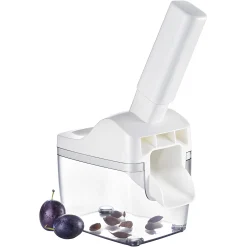 Pflaumenentsteiner 'Steinfix'